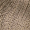 hair color 10/1 Пепельно-русый 