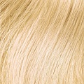 hair color 585 Светлый блондин 